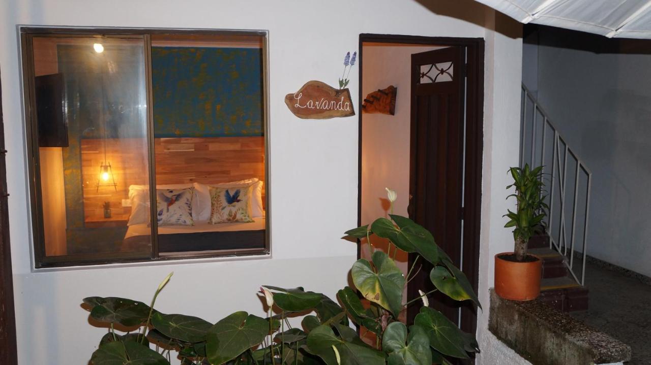 El Jardin De La 10 Otel Medellín Dış mekan fotoğraf