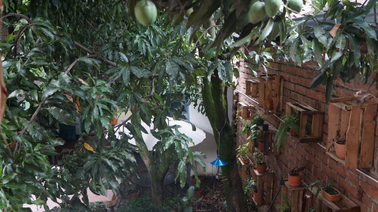 El Jardin De La 10 Otel Medellín Dış mekan fotoğraf